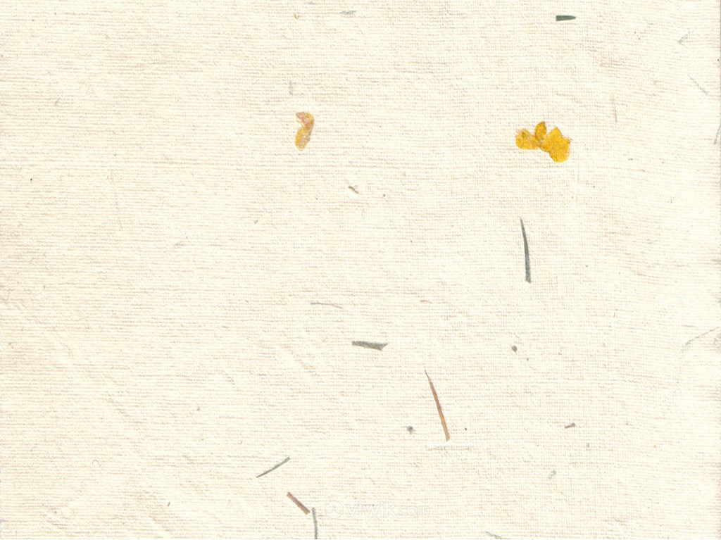 稻草花瓣横板中式斑驳纸纹背景图片