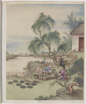 古代江边晒茶制茶贸易场景绘画图片