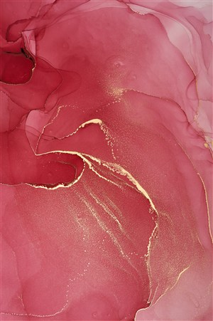 高清红色唯美玫瑰花瓣造型金粉水彩晕染画芯背景图片