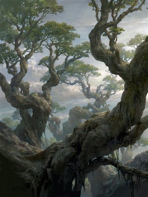大树植物中国风CG原画绘画图片