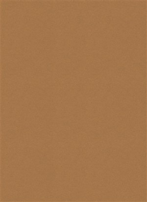 红棕咖啡色牛皮纸纸纹背景图片