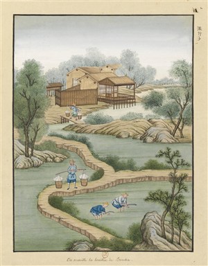 古代造纸步骤场景灌竹子绘画图片