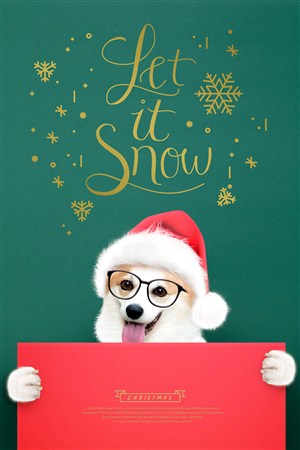带圣诞帽的可爱柯基宠物海报模板
