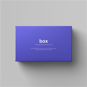 紫色长方形纸盒包装贴图样机