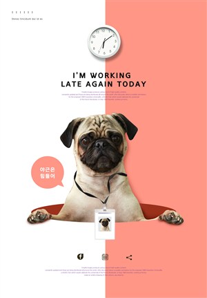 韩国宠物店网页网站模板