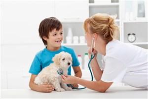 宠物医院医生给小孩的宠物狗检查身体图片
