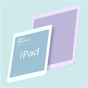 两种颜色的苹果ipad样机