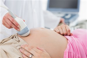 在医院做产检的孕妇胎儿发育人体器官图片