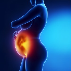 高清孕妇肚子里的胎儿发育人体器官图片