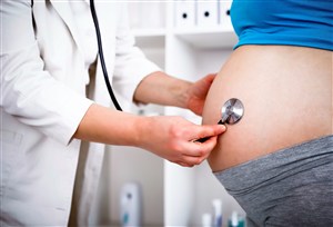 医生给孕妇做胎儿检查发育人体器官图片