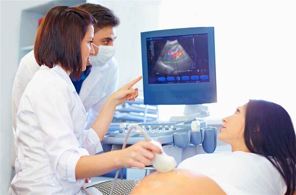 高清做彩超的孕妇胎儿发育人体器官图片