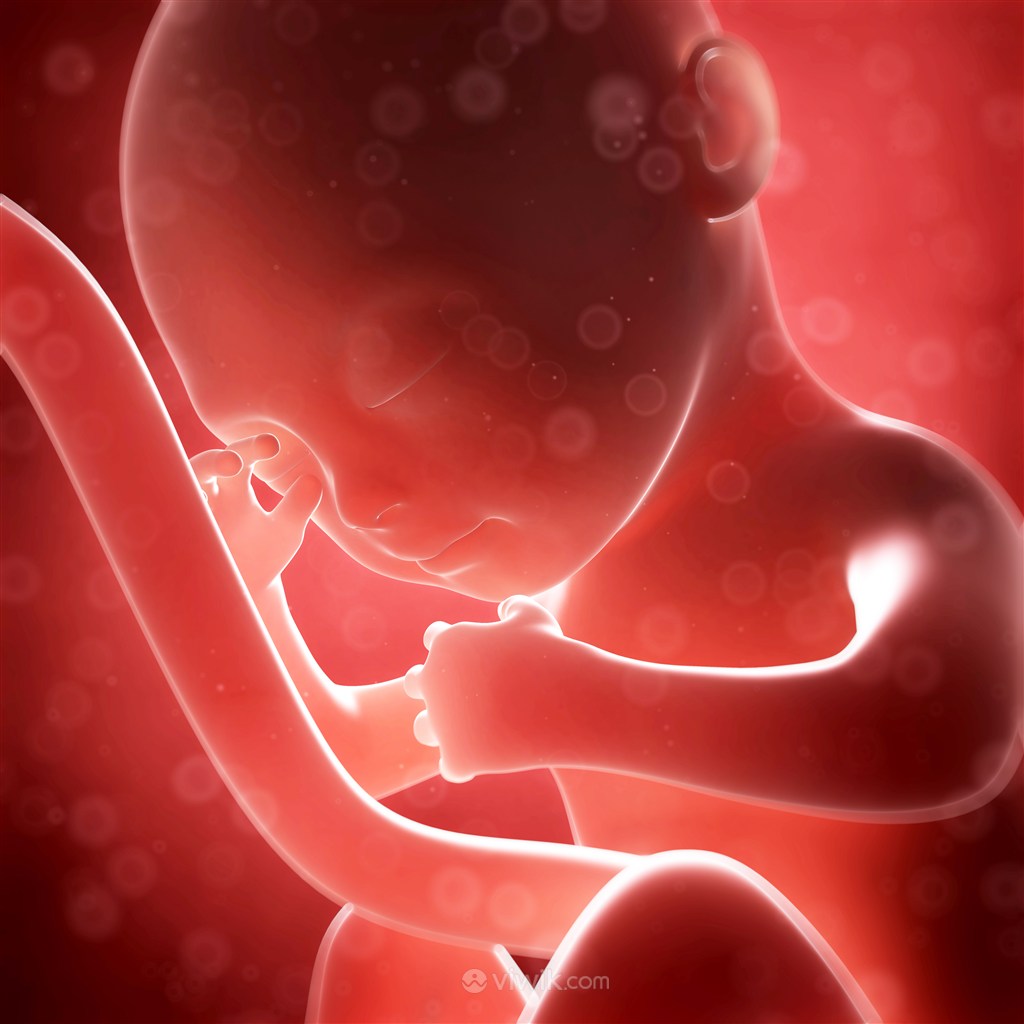 孕期如厕，学会这样做，可以有效预防胎儿被挤 - 知乎