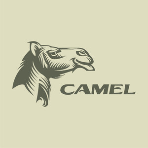 骆驼头像标志图标矢量logo素材