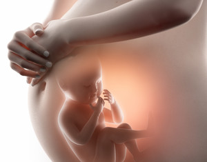 孕妇妈妈守护胎儿发育人体器官图片