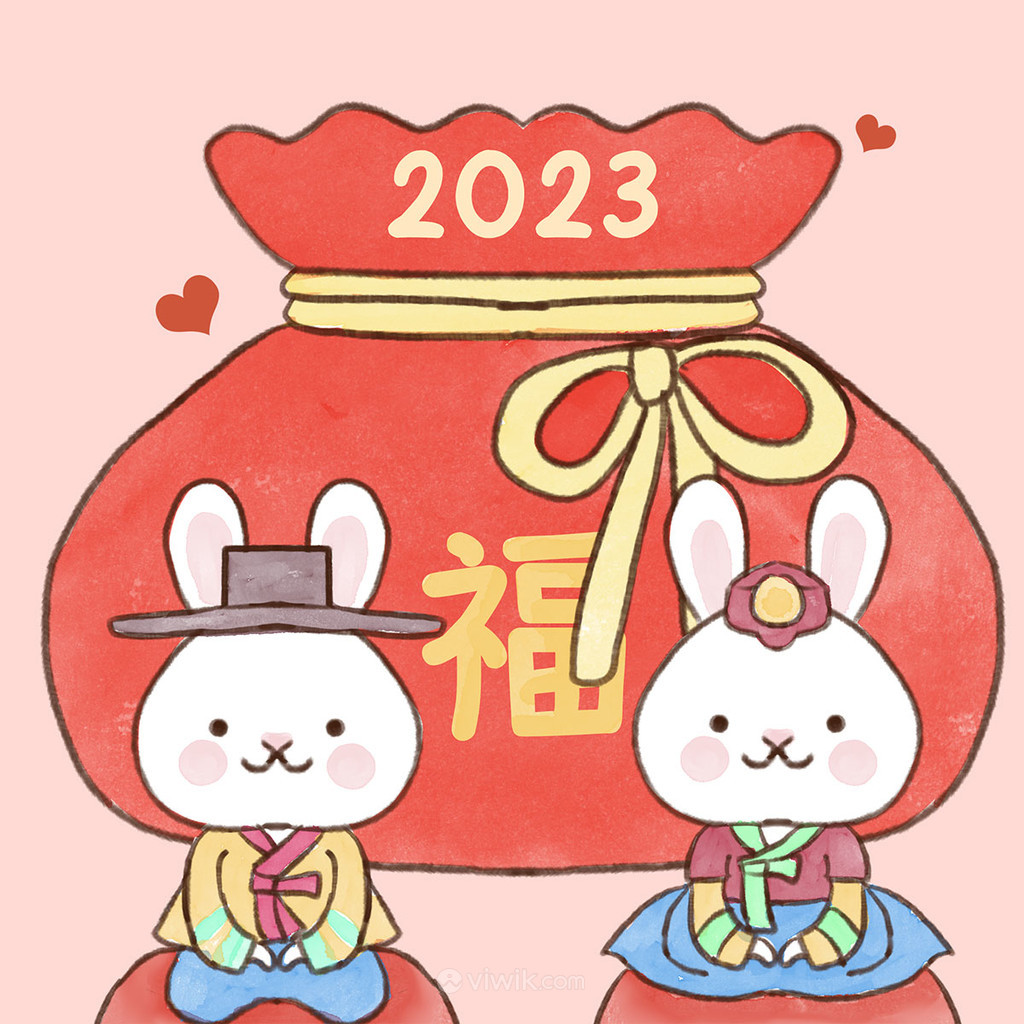 2023红色喜庆福袋兔年新年节日素材