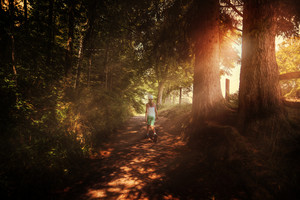 阳光穿透树林照射在孩童身上风景图片
