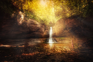 阳光树林瀑布风景图片