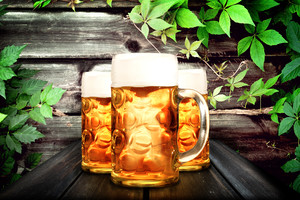 木桌上的3杯啤酒饮料图片