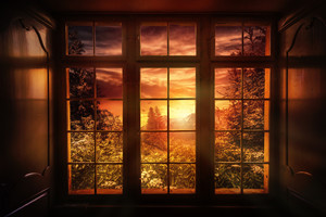 夕阳窗户植物高清图片
