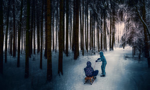 雪地树林拉雪橇的人图片