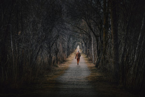 林间小道行走的人和周围漆黑的树木图片