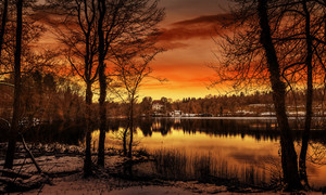 夕阳树林湖水建筑图片