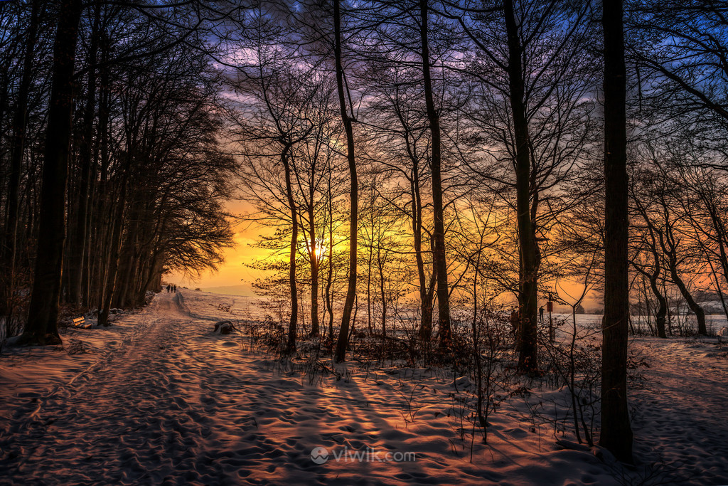夕阳树林雪地上的行人图片