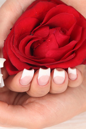 手心里的一朵红色玫瑰花图片