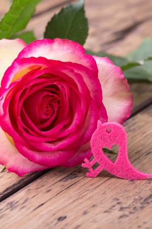 木板上的一支玫瑰花高清图片