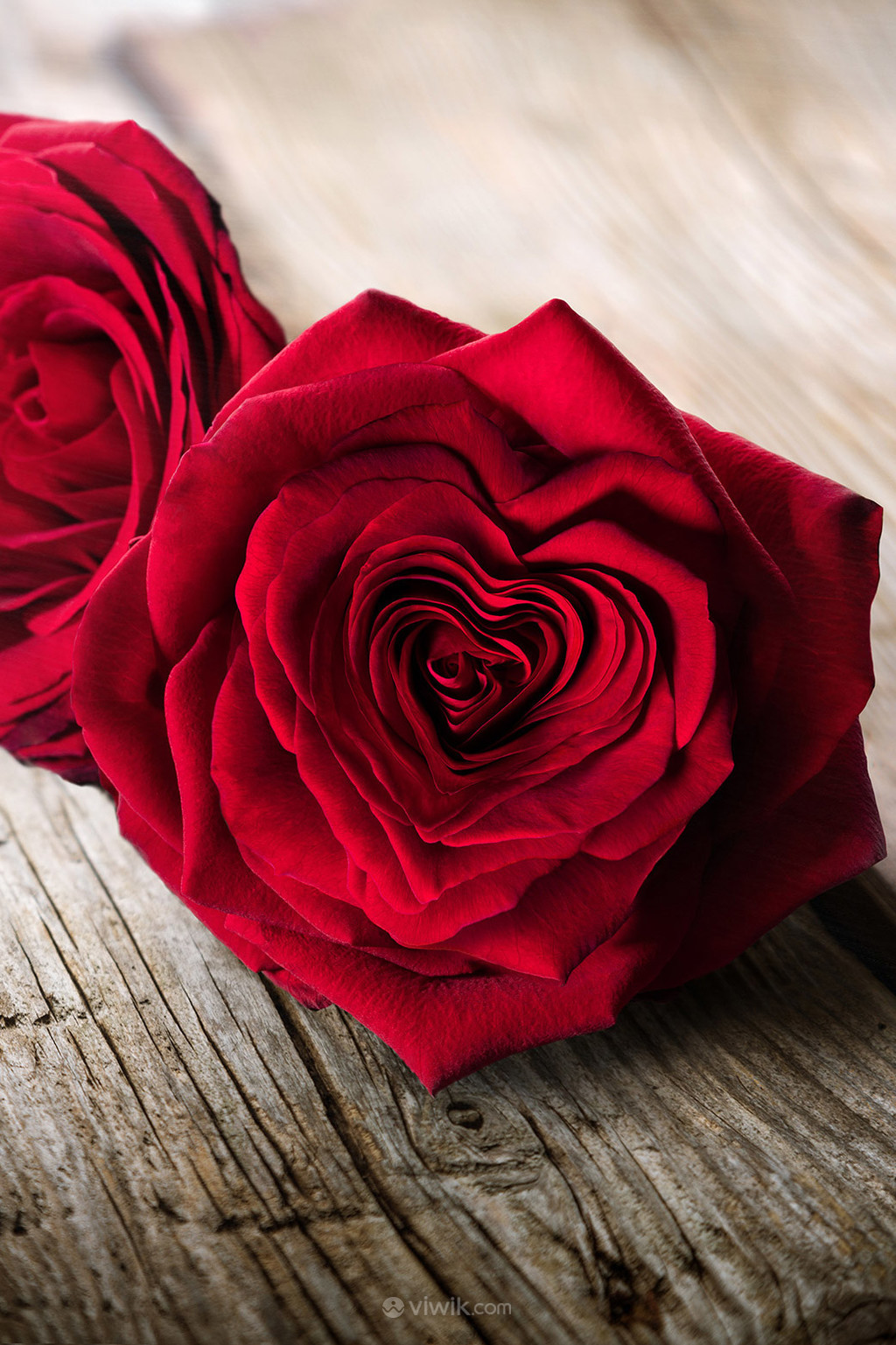 木板上的心形红玫瑰高清图片