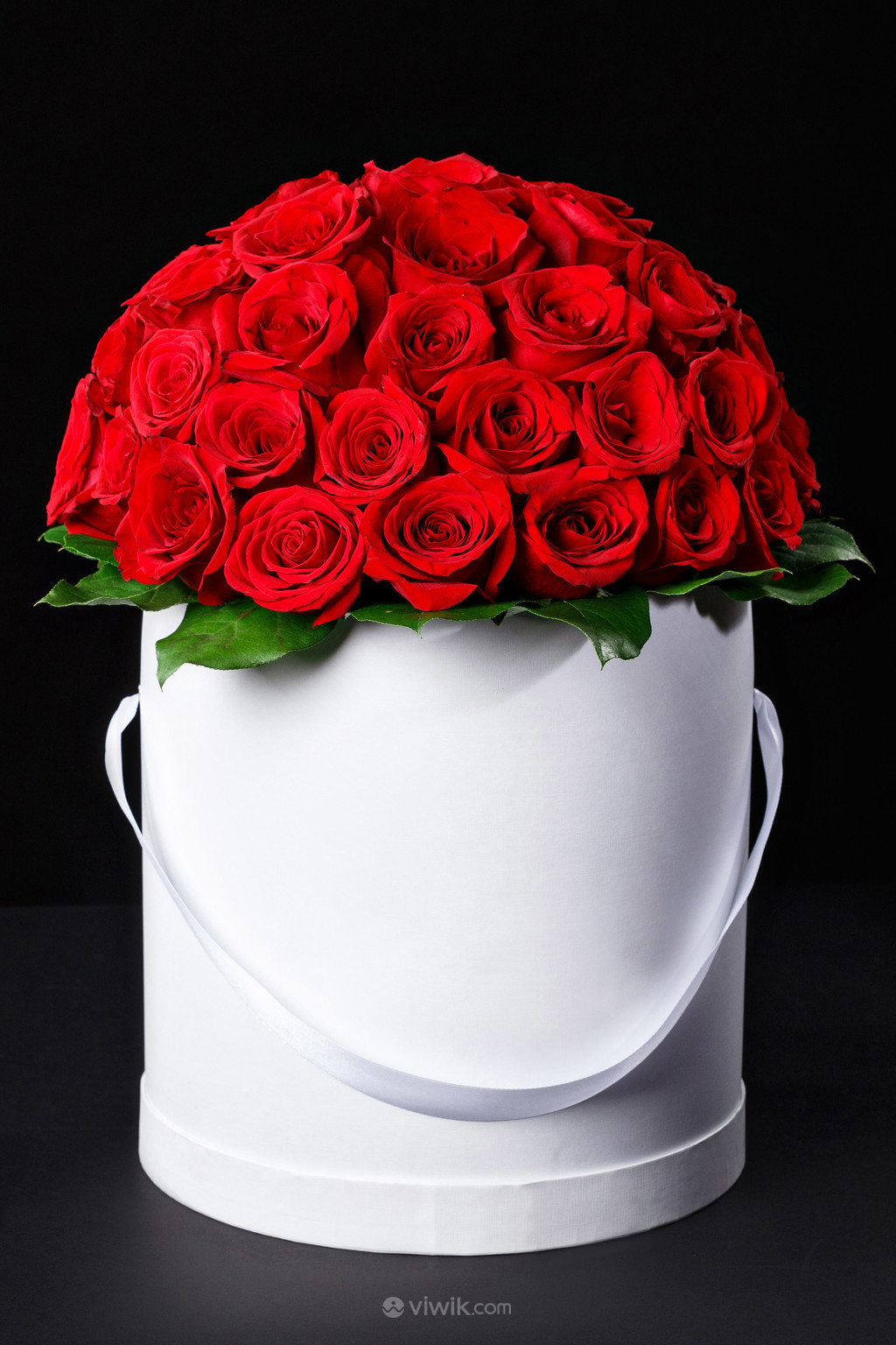 花朵一桶红色玫瑰花图片