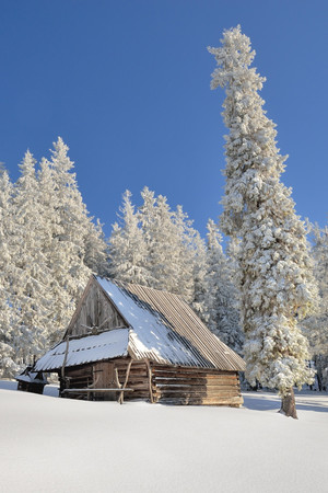 雪地树林木屋田园雪景图片