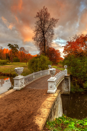 秋天枫树桥梁风景图片