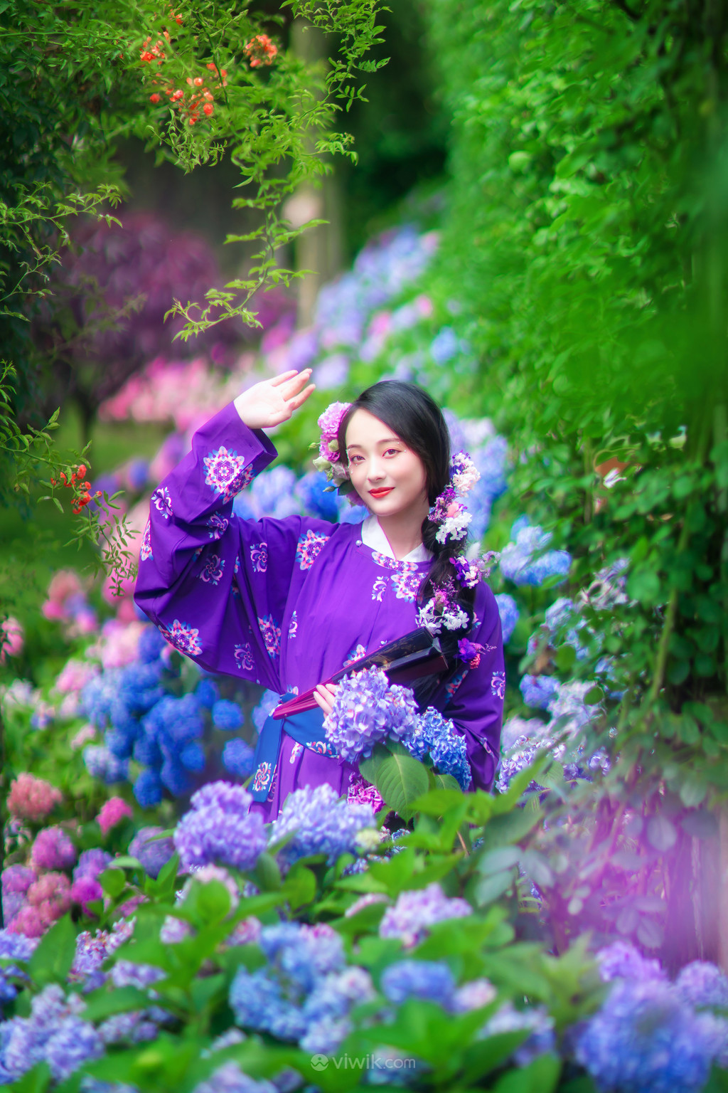 绣球花丛里的紫色古装美女图片