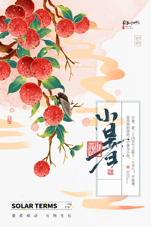 鲜红荔枝夏蝉小暑节气海报