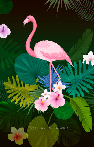 创意热带植物花卉火烈鸟夏日海报素材