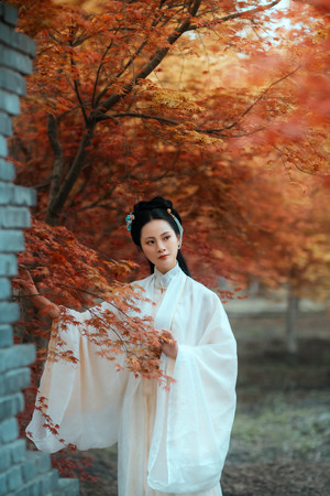 枫叶林古装美女艺术照摄影写真图片