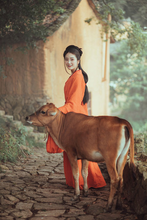牵黄牛的红衣古装美女艺术照写真图片