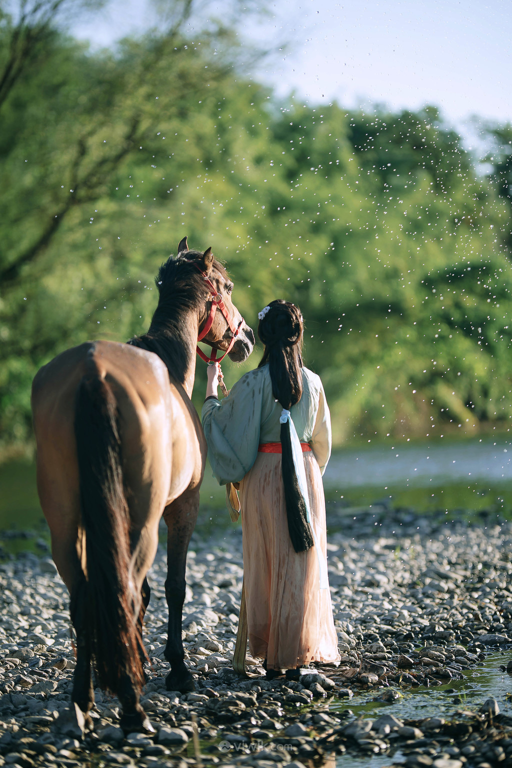 牵着马的古装美女背影艺术照写真图片