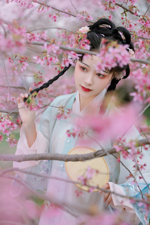 樱花树下的古装美女女大学生艺术照写真图片