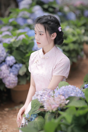 个人艺术照写真绣球花丛中的旗袍美女图片