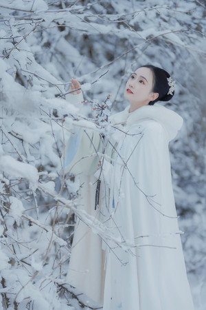 古装美女写真雪景个人艺术照摄影图片