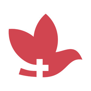 飞鸟十字标志图标医疗logo素材